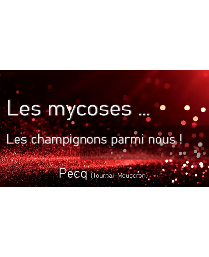 Le 19 avril 2025 - Les Mycoses - Pecq (Entre Tournai & Mouscron)